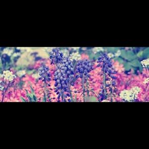 Meet your Posher, Brandy